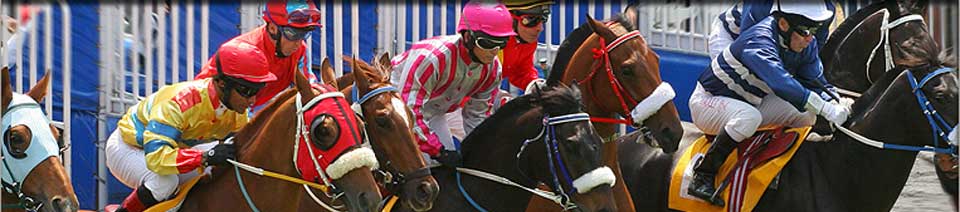 Saratoga Racetrack