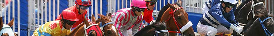 Saratoga Racetrack